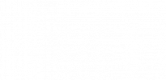 New Partner Announcement | November 2020 New Partner Announcement | November 2020